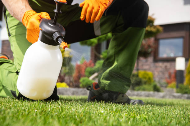 Best Flea Control Services  in Boalsburg, PA