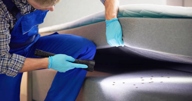 Best Residential Pest Control  in Boalsburg, PA