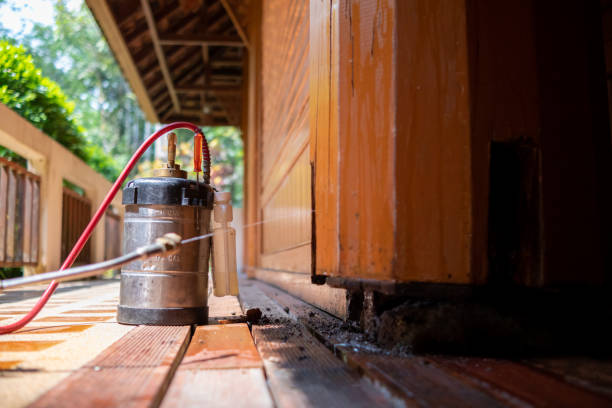 Best Wasp Removal Services  in Boalsburg, PA