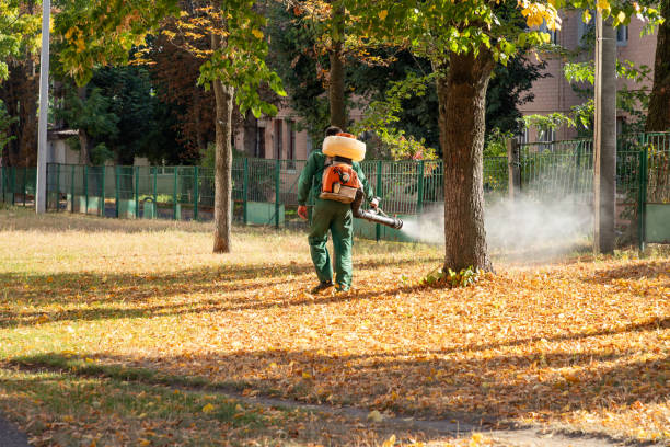 Best Mosquito Control Services  in Boalsburg, PA